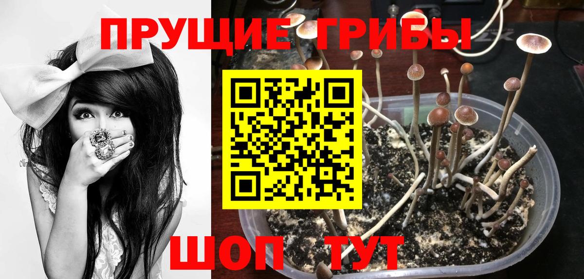 Ярославль  Псилоцибиновые грибы мицелий  Псилоцибиновые грибы ЛСД  Вход с VPN 